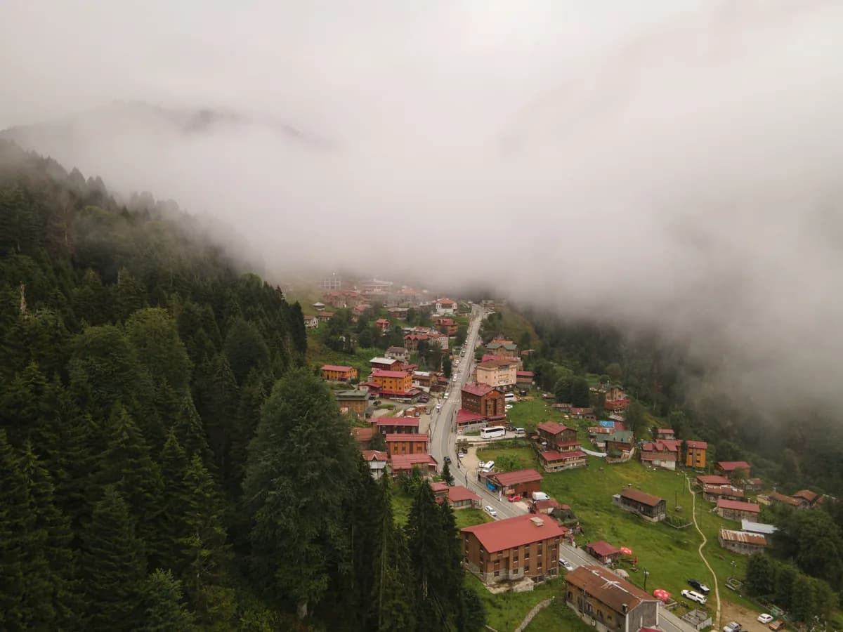 Rize çay bahçeleri ve dağ köyü, Karadeniz kıyısı — Trabzon Havalimanı'ndan Rize transfer rehberi 2026